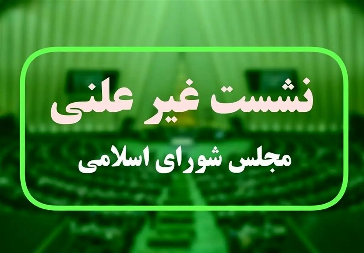 جزئیات جلسه غیرعلنی مجلس درباره مولدسازی