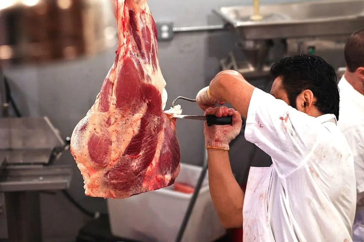 گوشت‌های وراداتی آلوده هستند؟