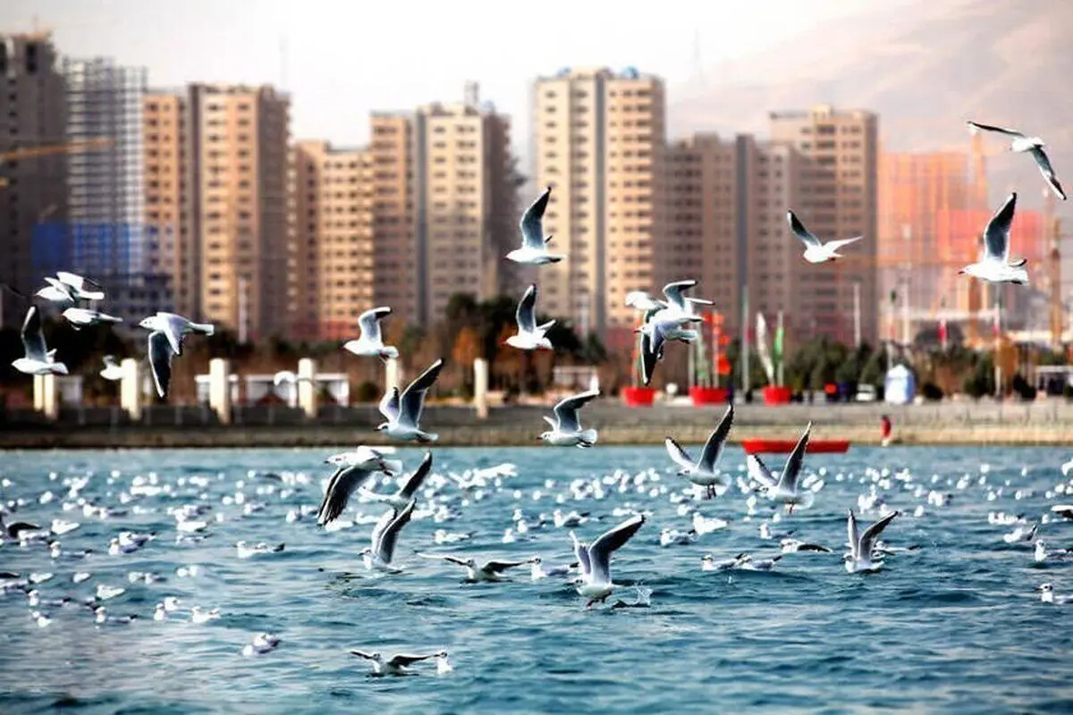 ماجرای واگذاری دریاچه چیتگر