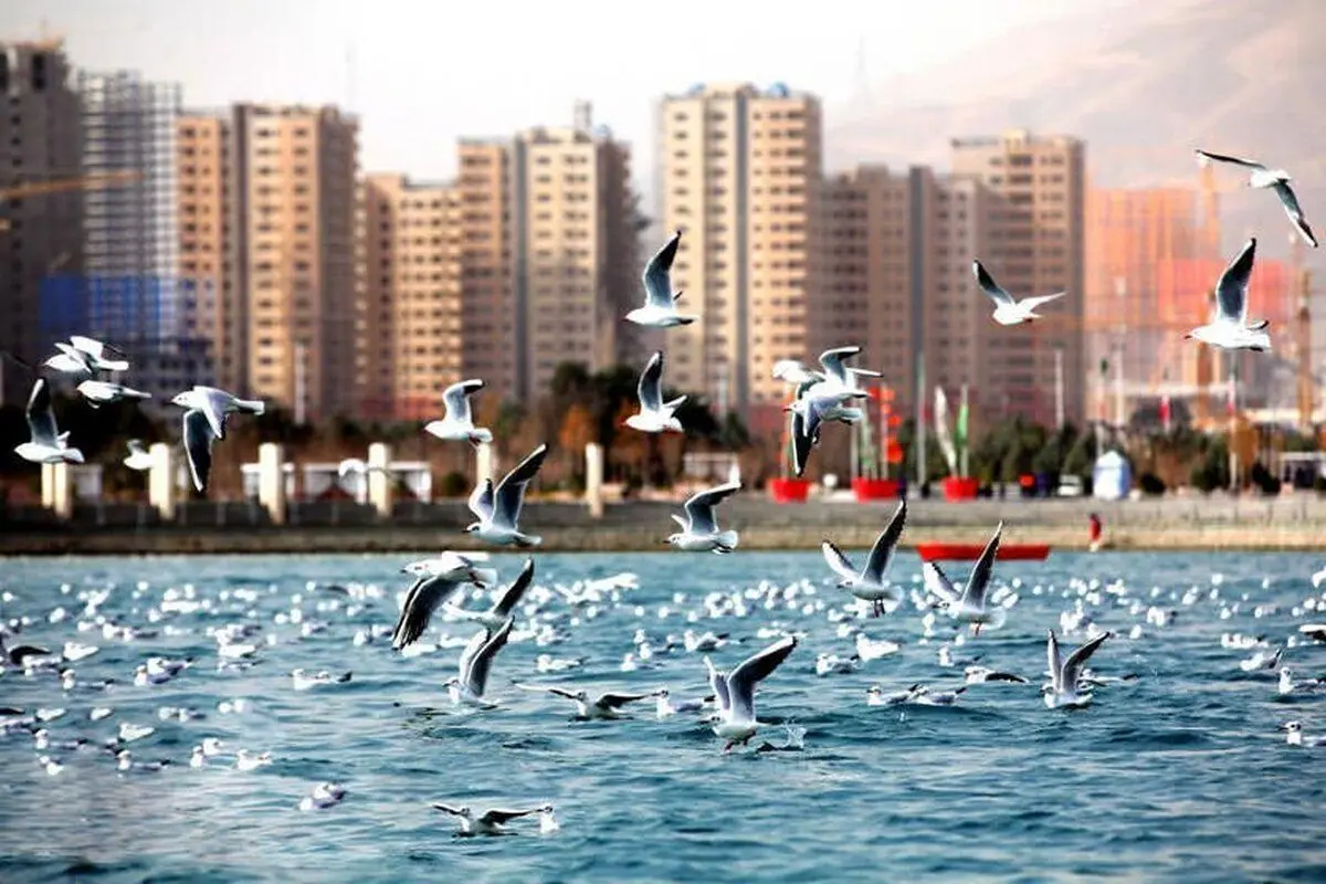 ماجرای واگذاری دریاچه چیتگر