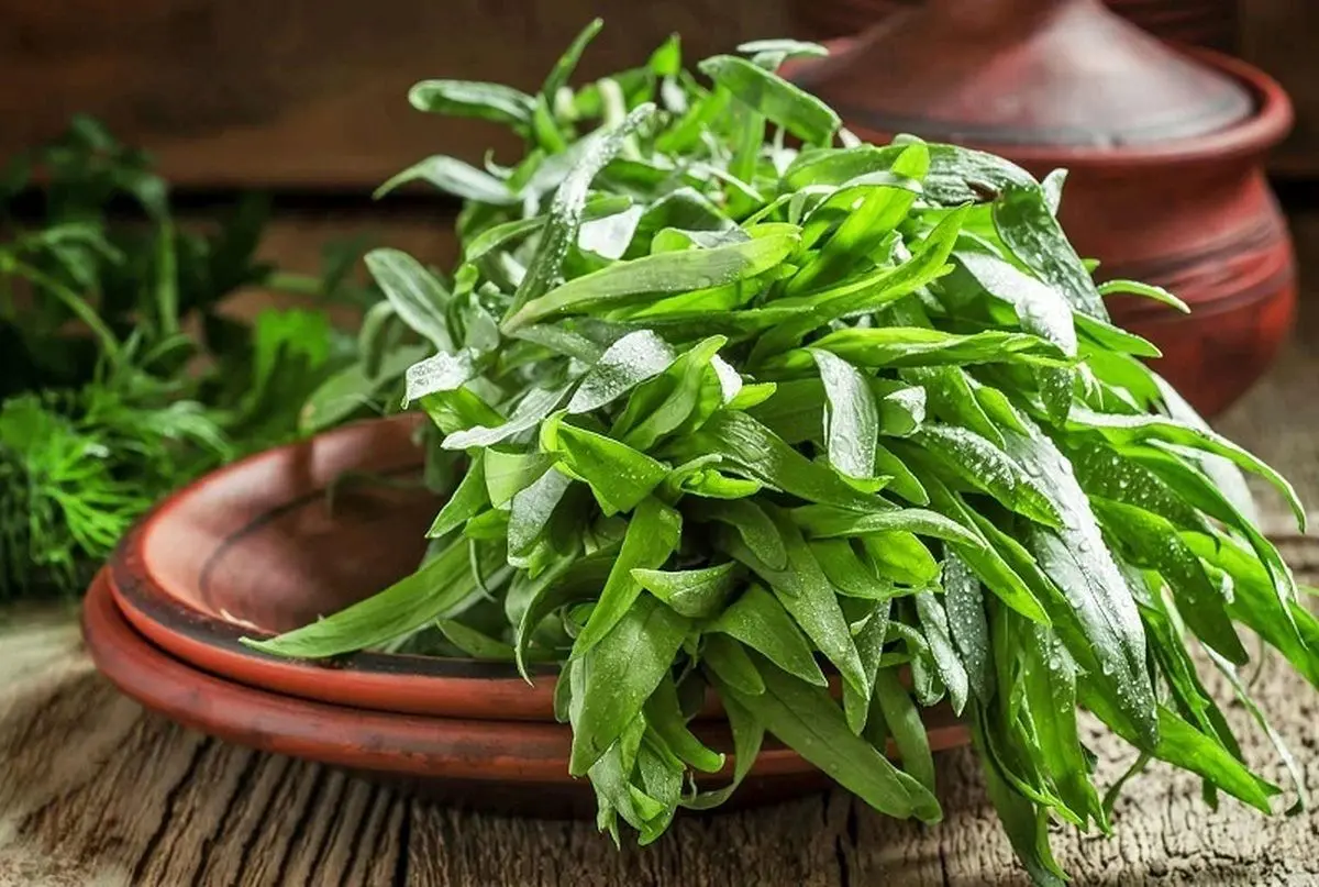 اثر شگفت‌آور این سبزی بر اشتها و قند خون