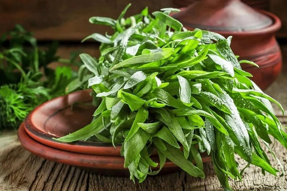 اثر شگفتآور این سبزی بر اشتها و قند خون