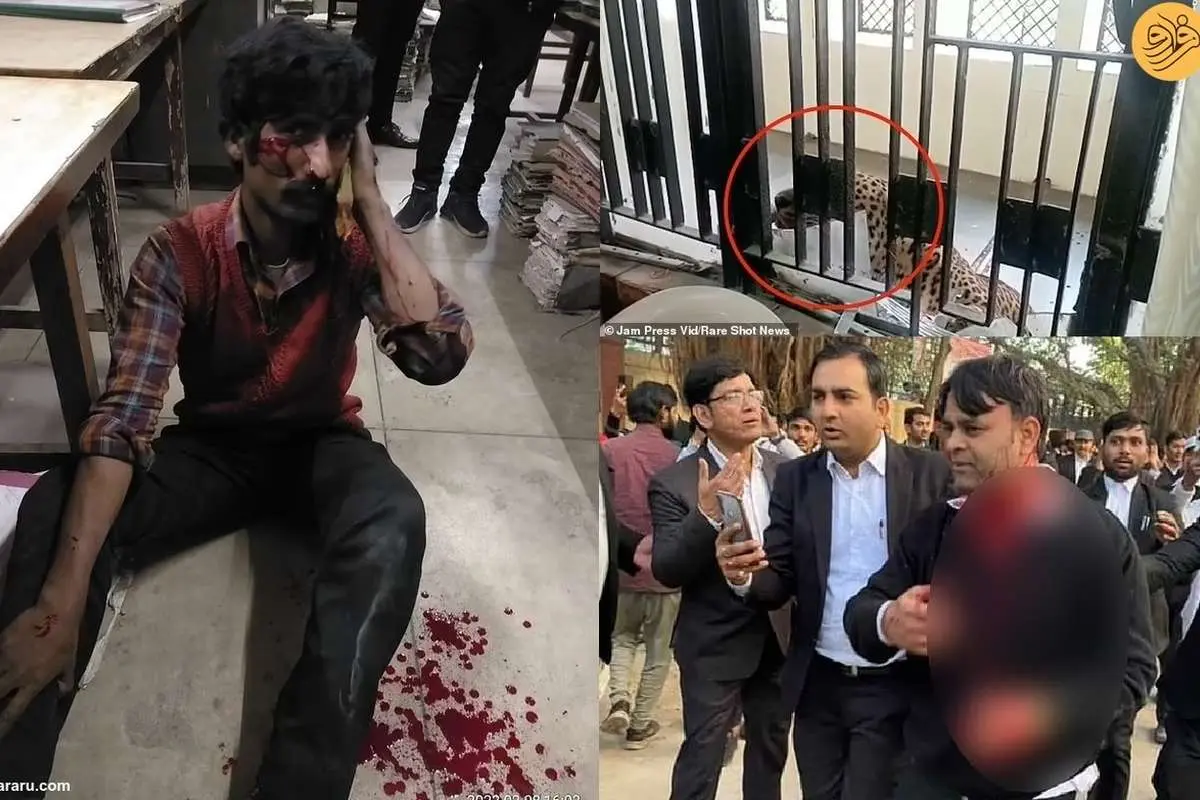 (ویدئو) حمله خونین یک پلنگ به ساختمان دادگستری!
