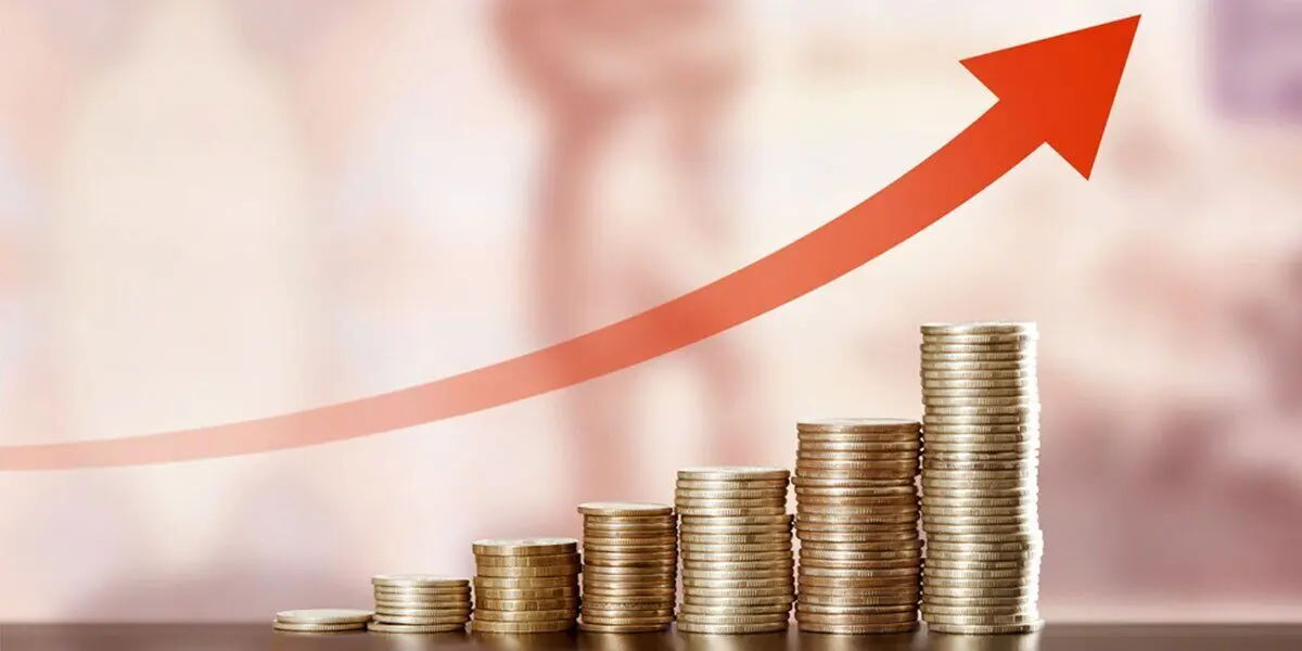 واریز یارانه نقدی برای ۵ میلیون خارج‌نشین