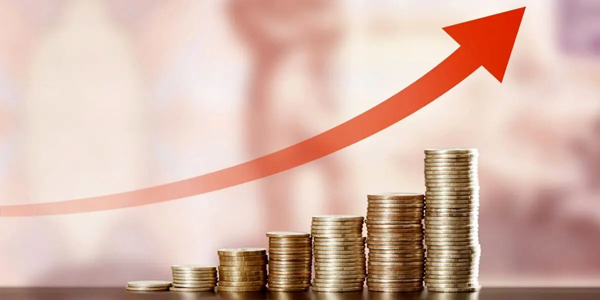 واریز یارانه نقدی برای ۵ میلیون خارج‌نشین