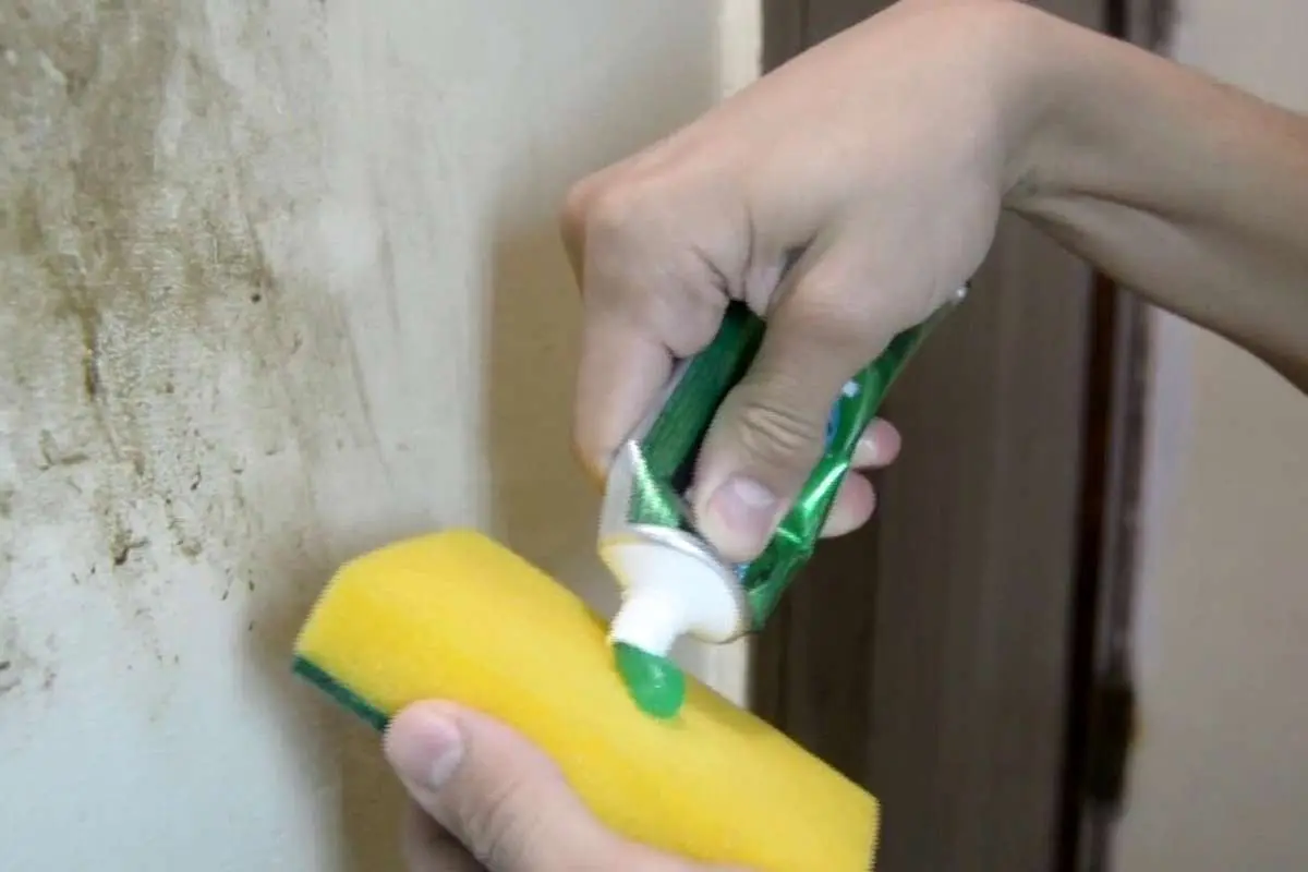 ۹ گام برای تمیز کردن دیوار‌های خانه؛ بهترین ترکیب برای شستن دیوار