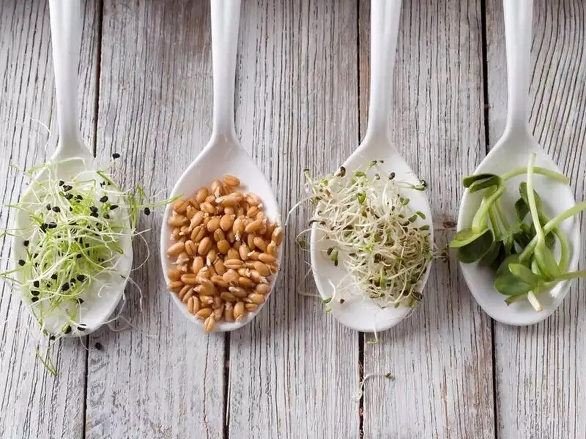 خواص شگفت‌انگیز و درمانی انواع جوانه‌ها برای سلامتی
