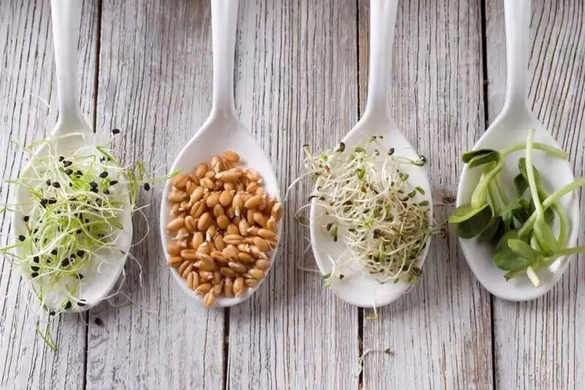 خواص شگفت‌انگیز و درمانی انواع جوانه‌ها برای سلامتی
