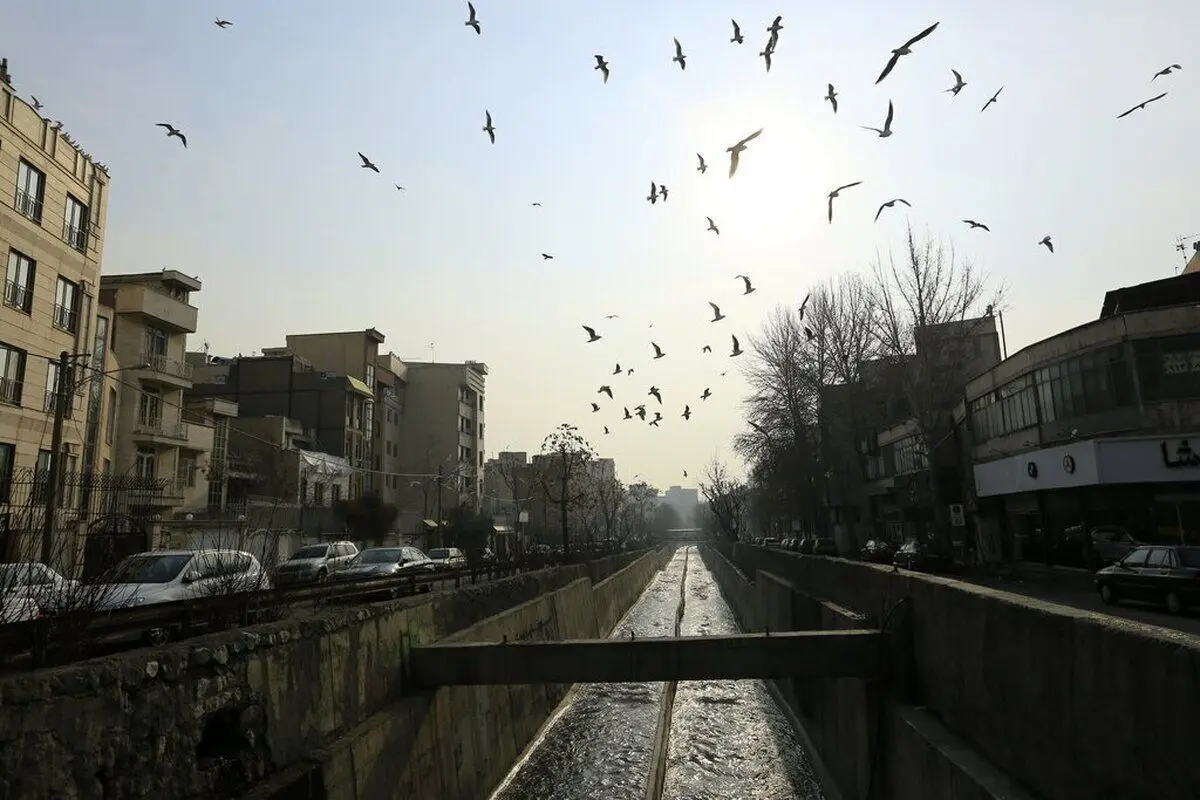هوای تهران «پاک» شد