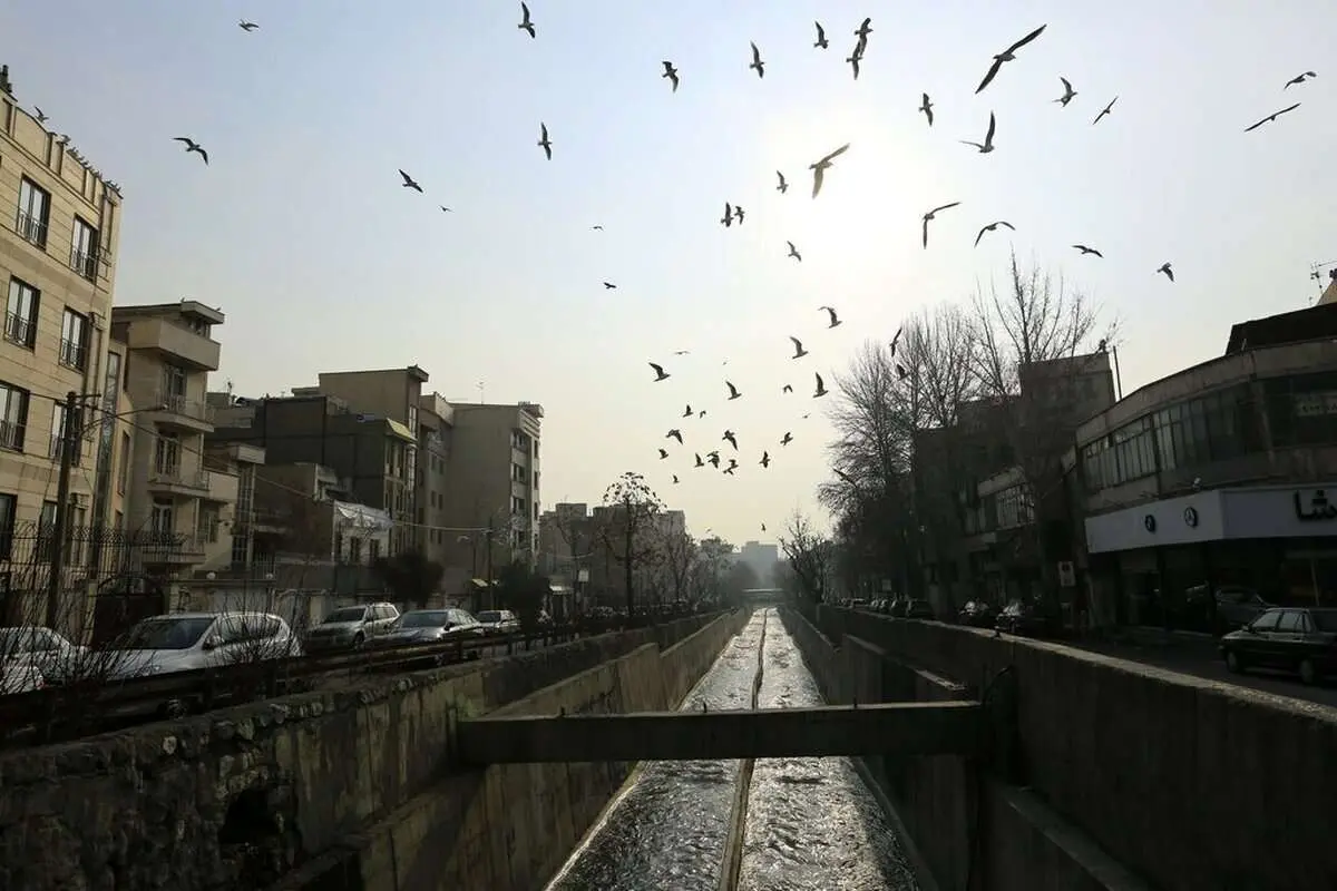 هوای تهران «پاک» شد