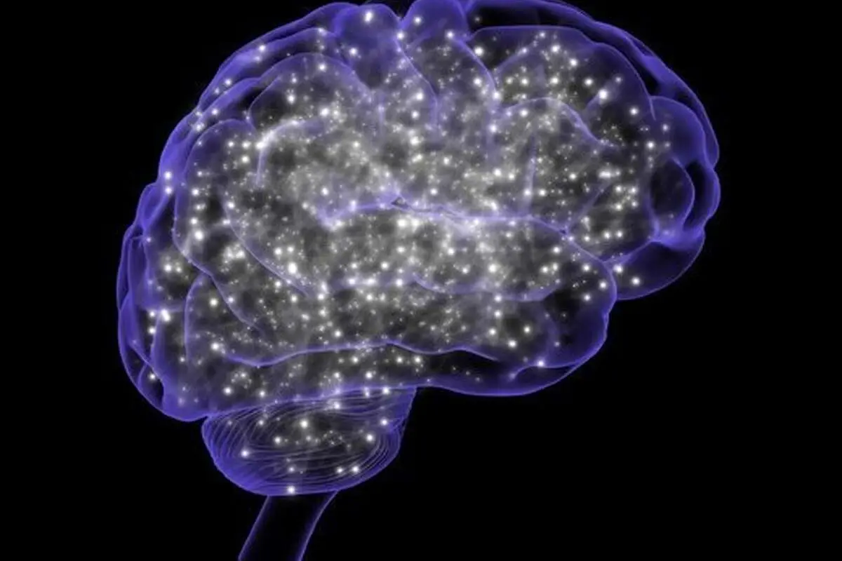 کشف شگفت‌انگیز میلیون‌ها سیناپس خاموش در مغز انسان