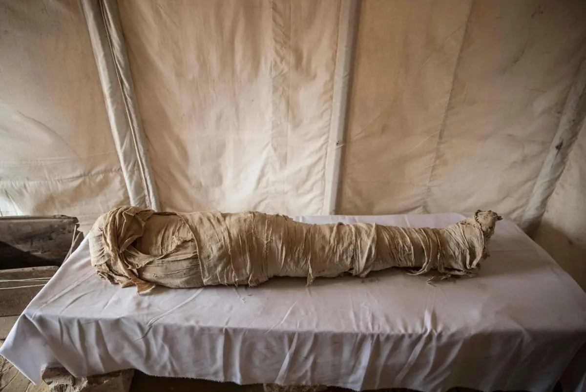 کشف دستورالعمل آماده‌سازی مردگان برای زندگی ابدی در مصر باستان