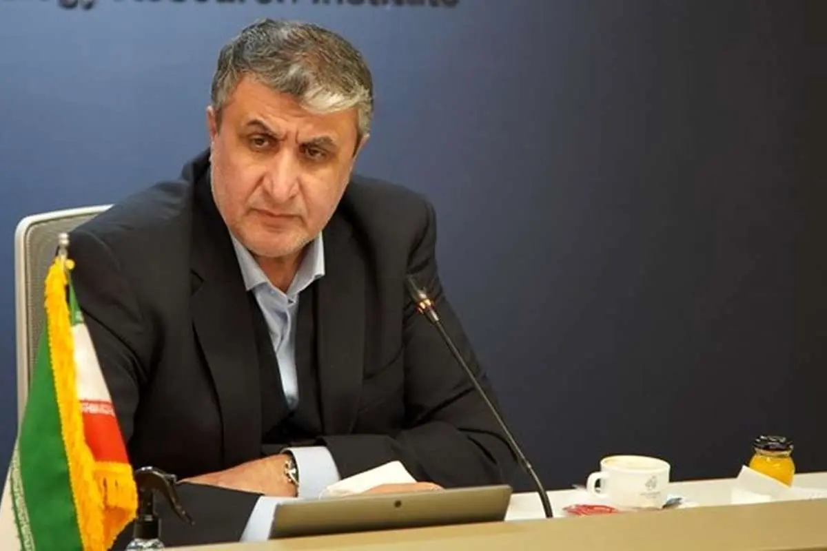 رئیس سازمان انرژی اتمی: مذاکرات احیای برجام بر سر همان متن ۲۰۱۵ است
