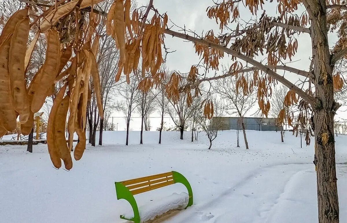 بوستان کوهسار تعطیل شد