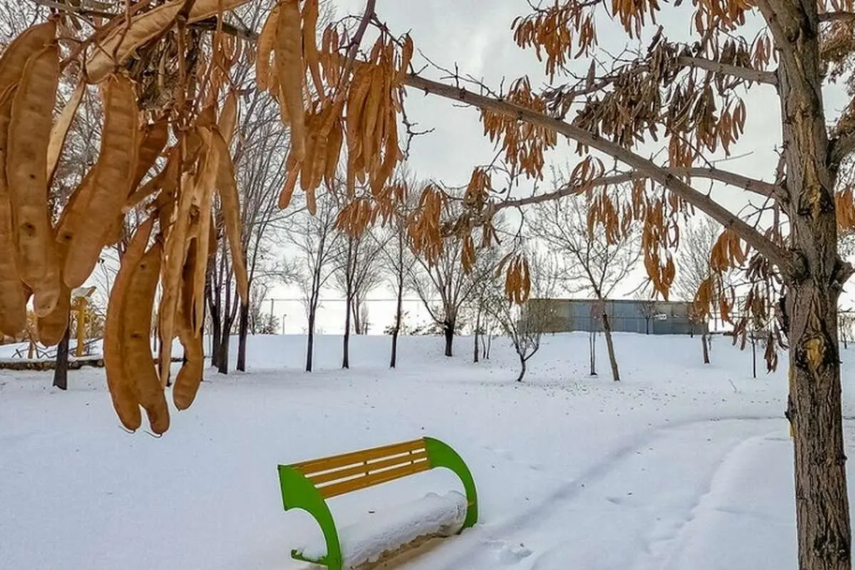 بوستان کوهسار تعطیل شد