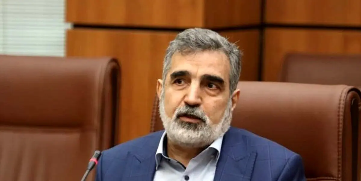 کمالوندی: تاکنون اقدام به غنی‌سازی بالای ۶۰ درصد نکرده‌ایم