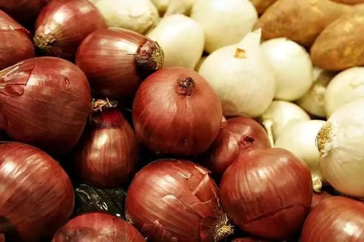 پیاز همچنان لاکچری؛ گوجه فرنگی ارزان شد