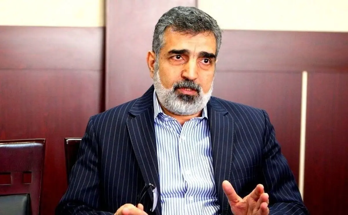 سخنگوی سازمان انرژی اتمی: دیده شدن ذرات اتمی ۸۴ درصد از لحاظ فنی طبیعی است