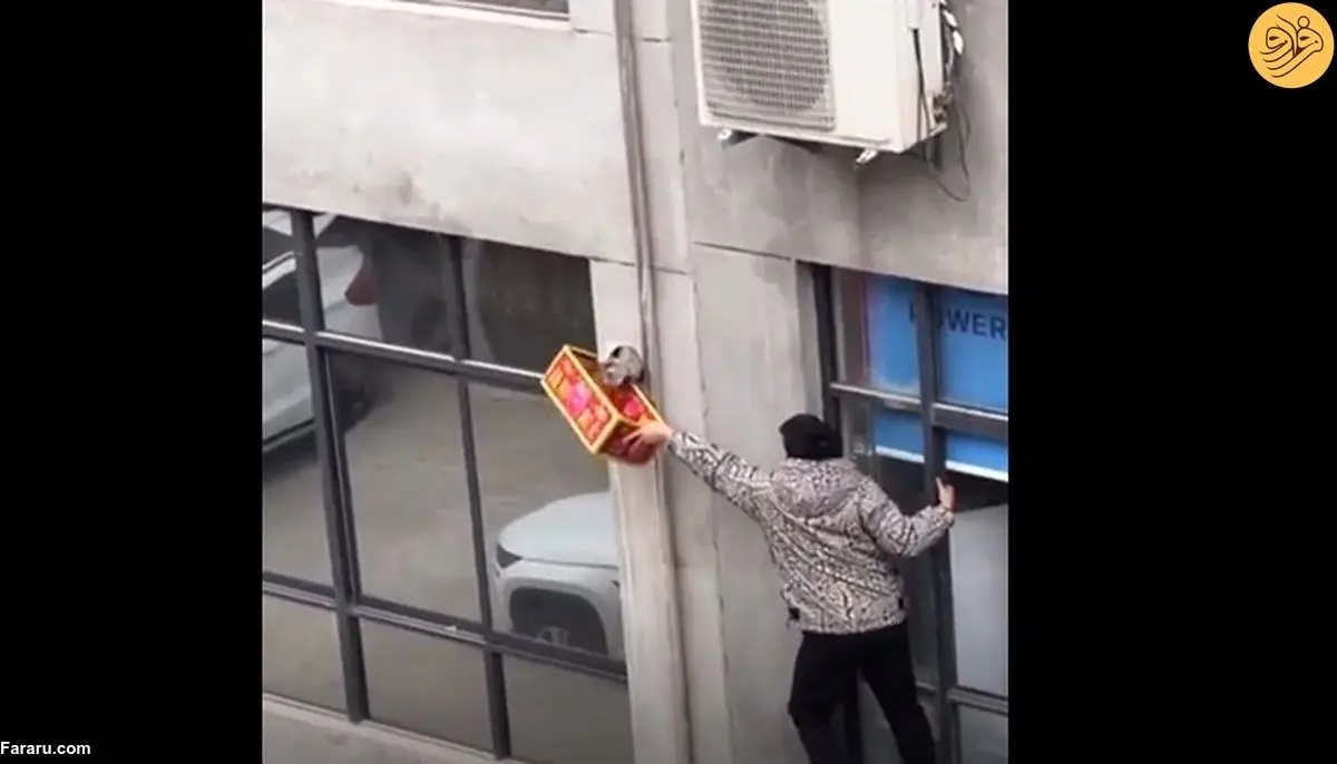 (ویدئو) نجات گربه گیر افتاده در دیوار یک ساختمان