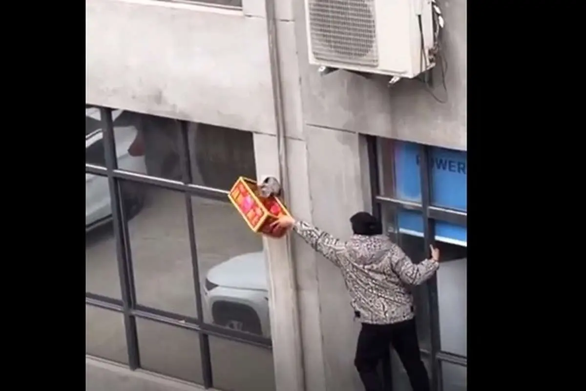 (ویدئو) نجات گربه گیر افتاده در دیوار یک ساختمان