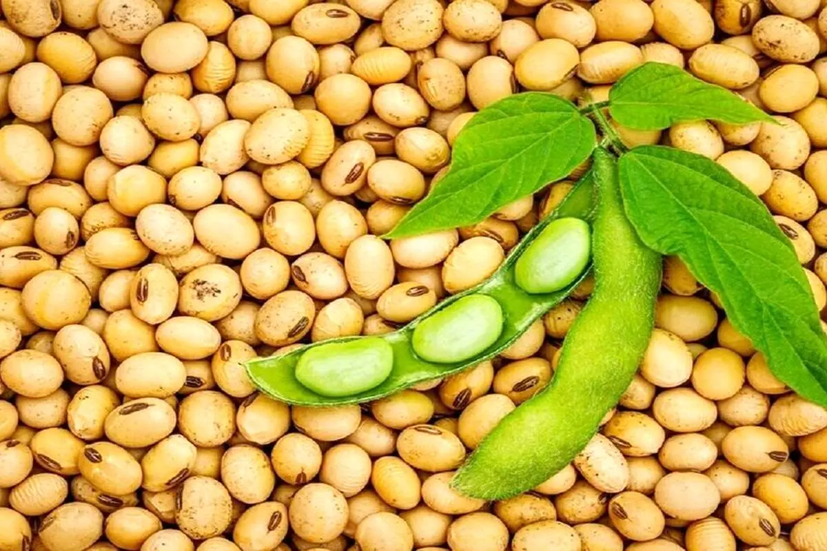 با این خوراکی از سرطان معده در امان باشید