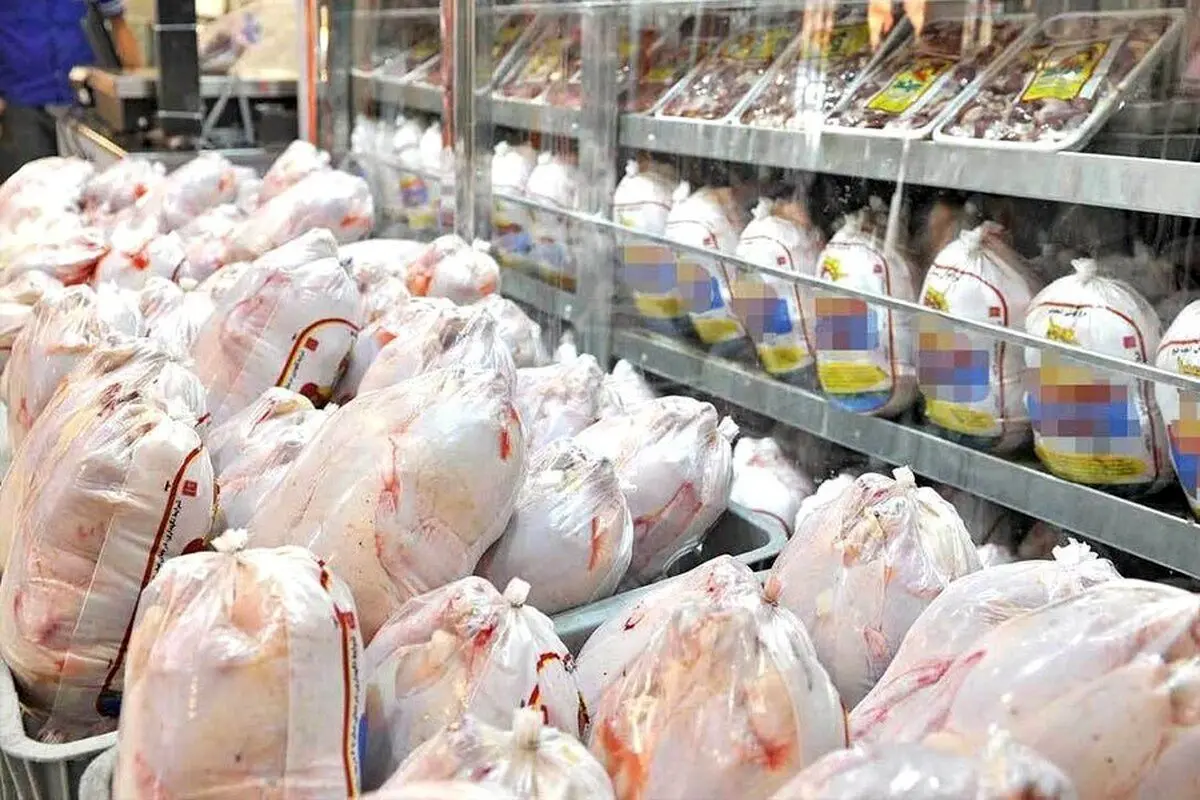 جدیدترین قیمت مرغ و ماهی در بازار و میادین/ قیمت هر کیلو ماهی قزل آلا چند؟