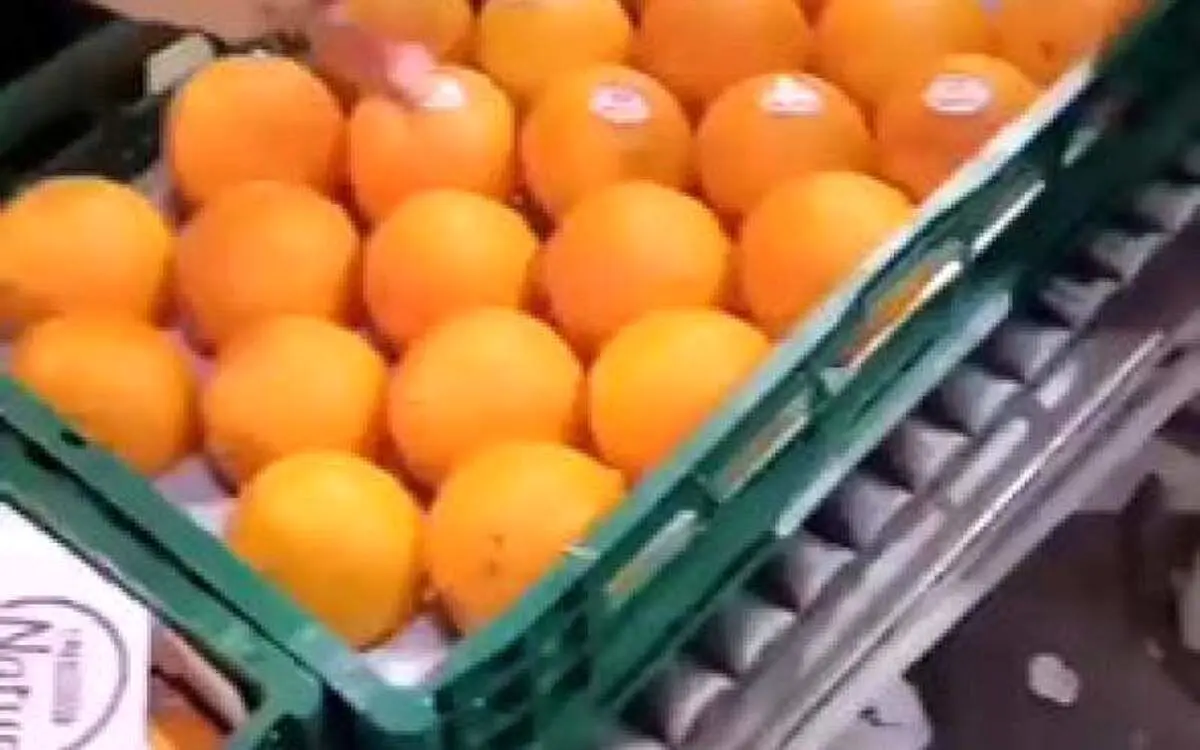 (ویدئو) شیوه جالب برچسب زدن به میوه‌ها