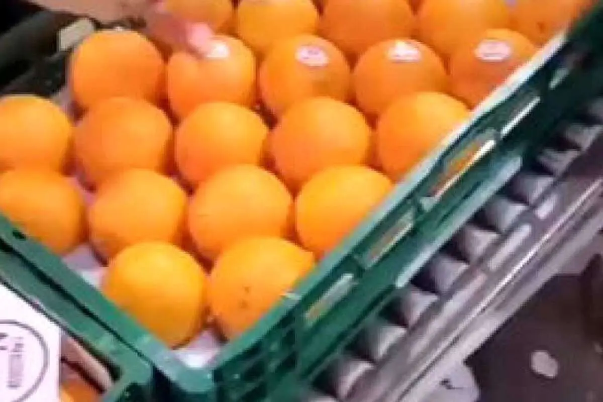 (ویدئو) شیوه جالب برچسب زدن به میوهها