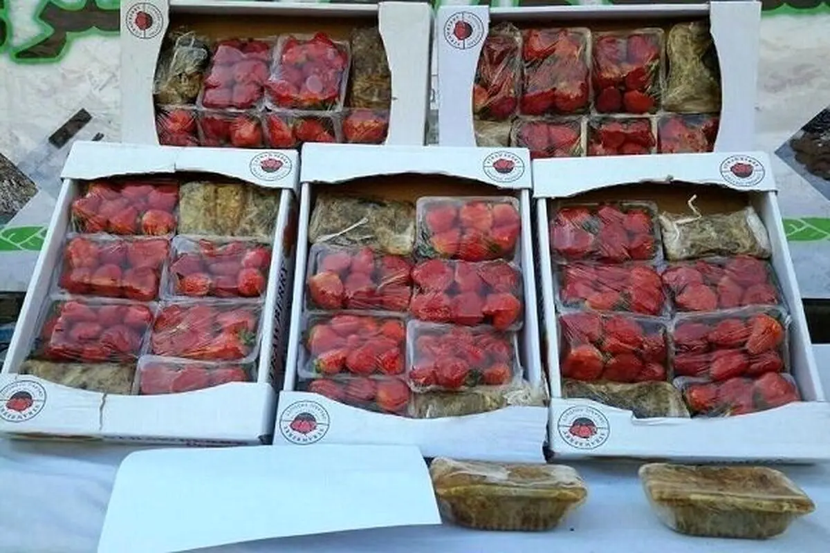 کشف تریاک با طعم توت‌فرنگی/ شیشه‌فروش جنوب تهران دستگیر شد