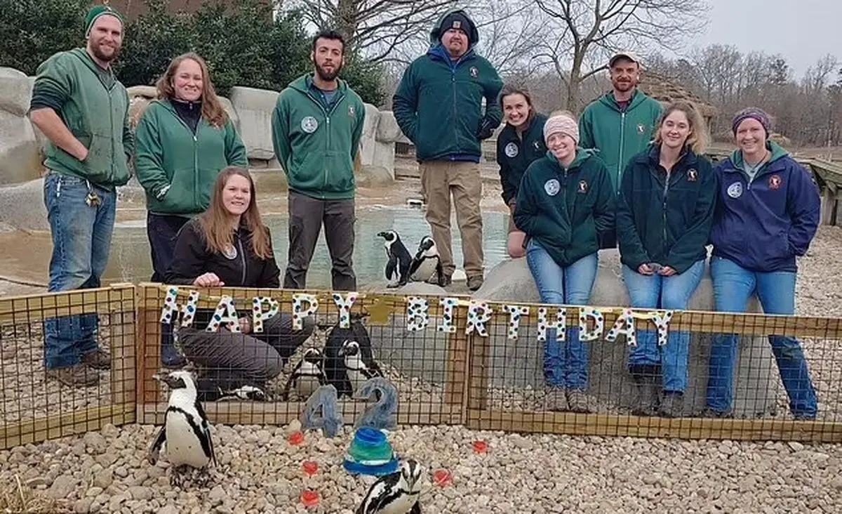 (تصاویر) زندگی عاشقانه پیرترین پنگوئن آفریقایی جهان