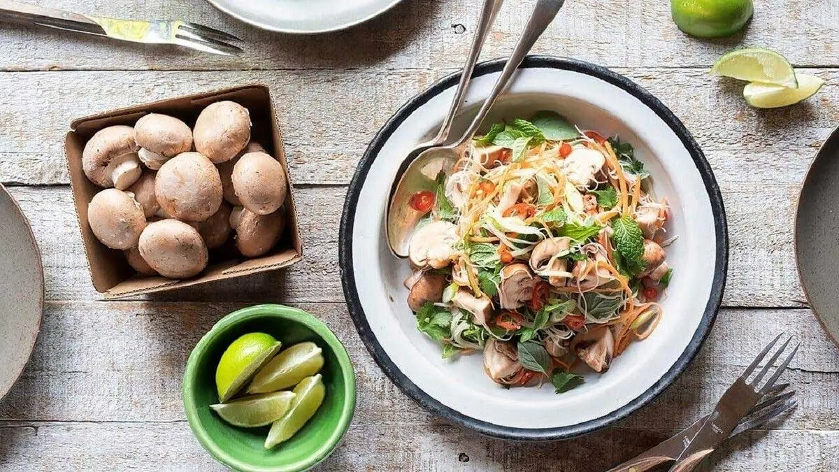 طرز تهیه سالاد قارچ و کلم؛ جذاب و خوشمزه
