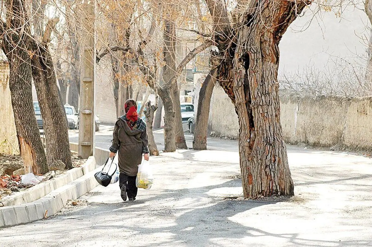نخستین شورای محلی شهر تهران کجا تشکیل شد؟