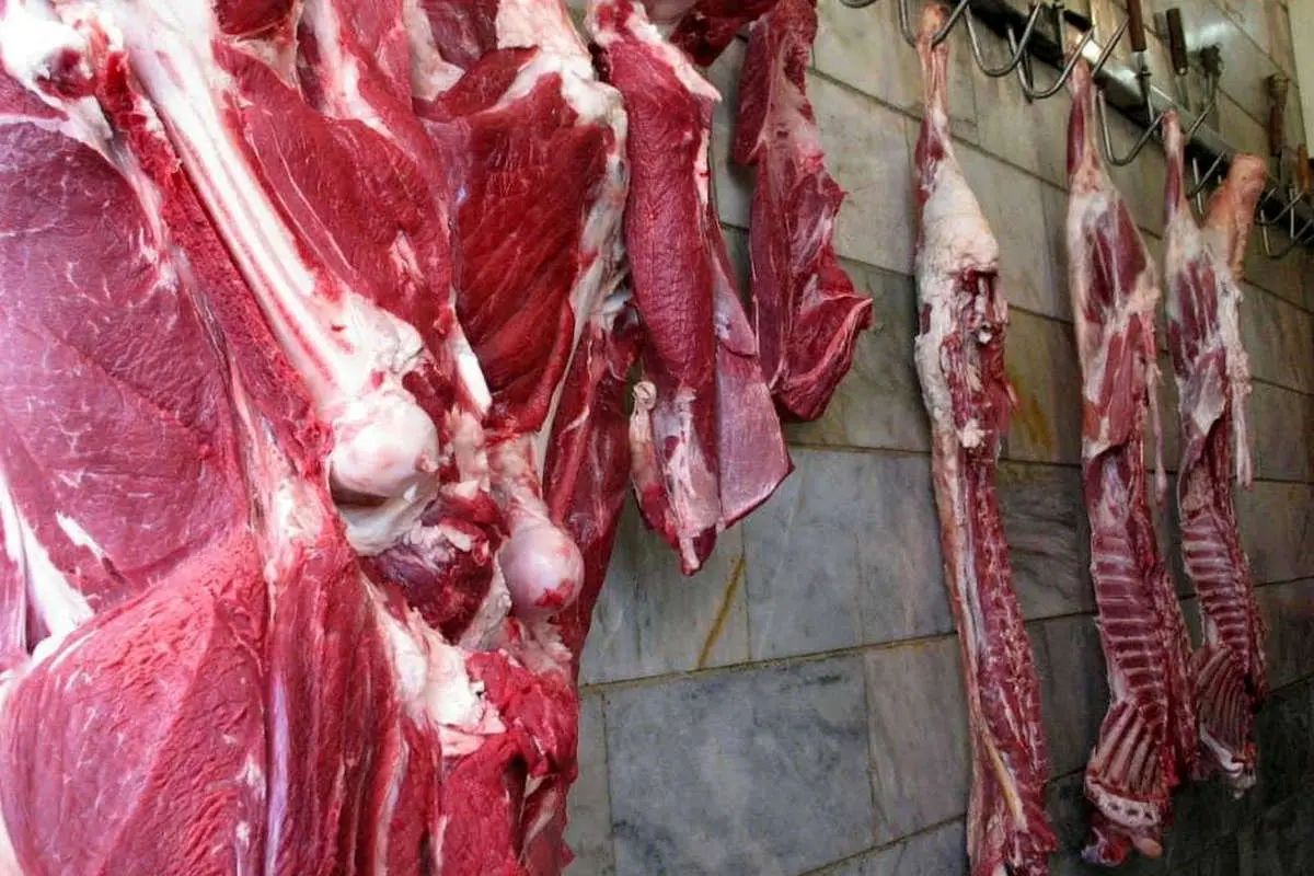 علت افزایش قیمت گوشت؛ گرانی دام
