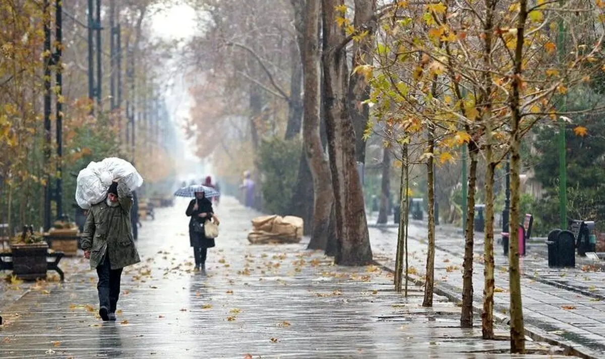 بارش برف و باران در نقاط مختلف کشور/ کاهش نسبی دما در برخی مناطق