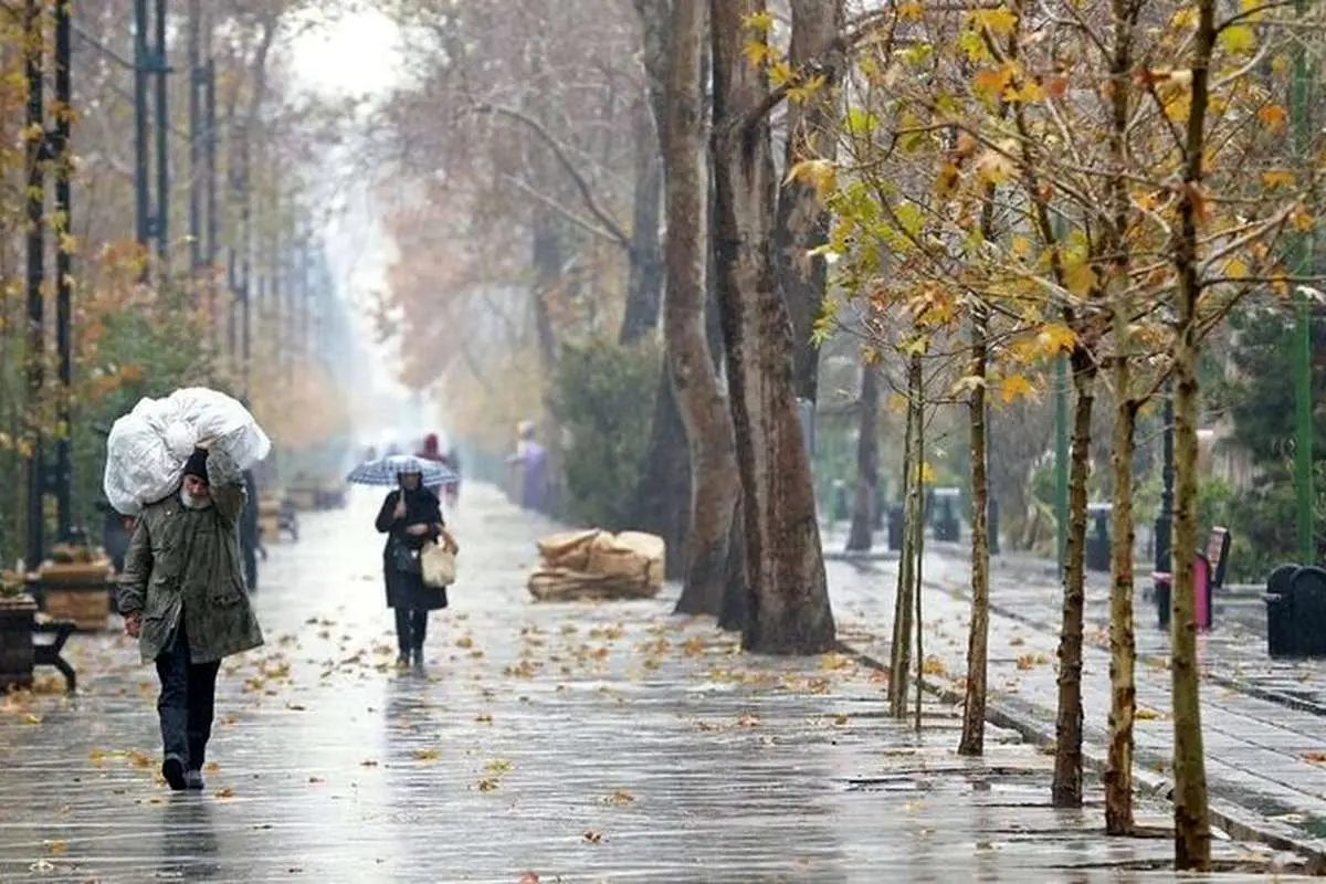 بارش برف و باران در نقاط مختلف کشور/ کاهش نسبی دما در برخی مناطق
