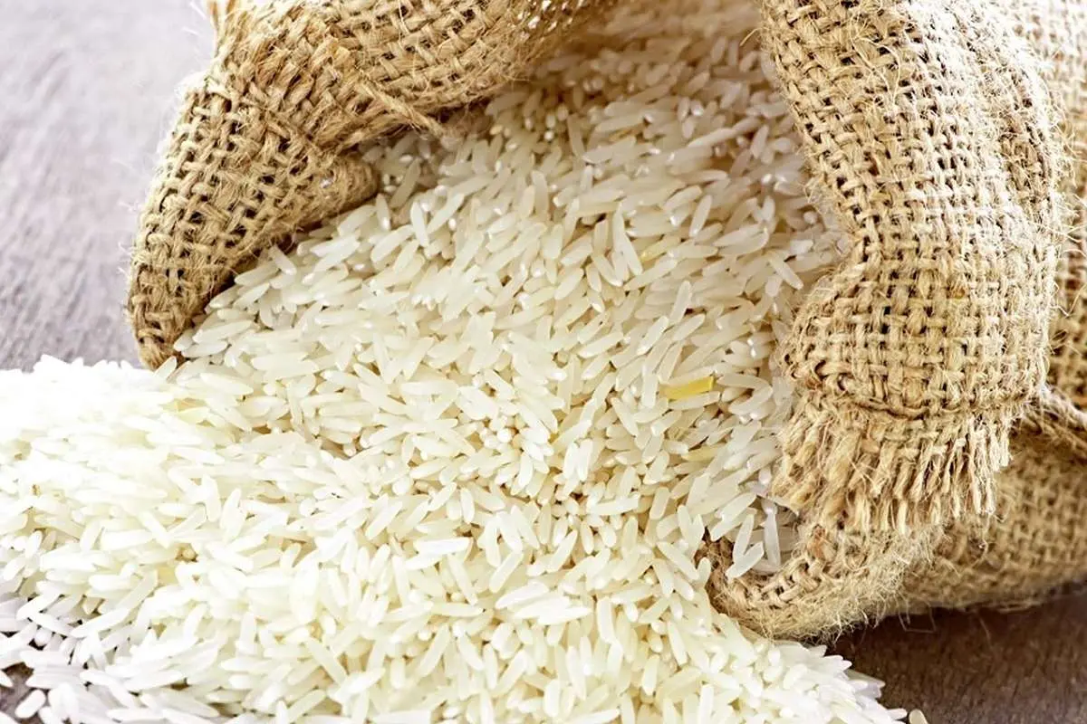 برنج ایرانی چقدر ارزان شد؟