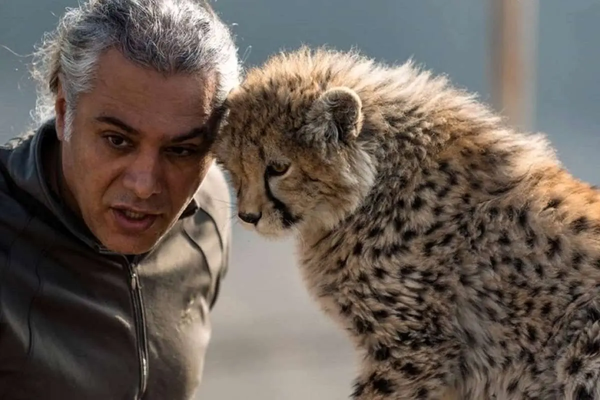 شكست پروژه «پيروز»