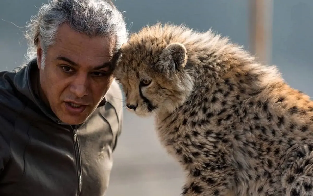 نتیجه کالبد شکافی پیروز مشخص شد