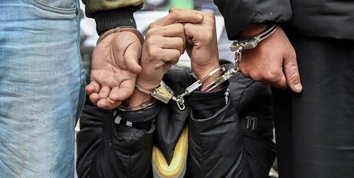 دستگیری بیش از ۱۶ هزار سارق و مالخر