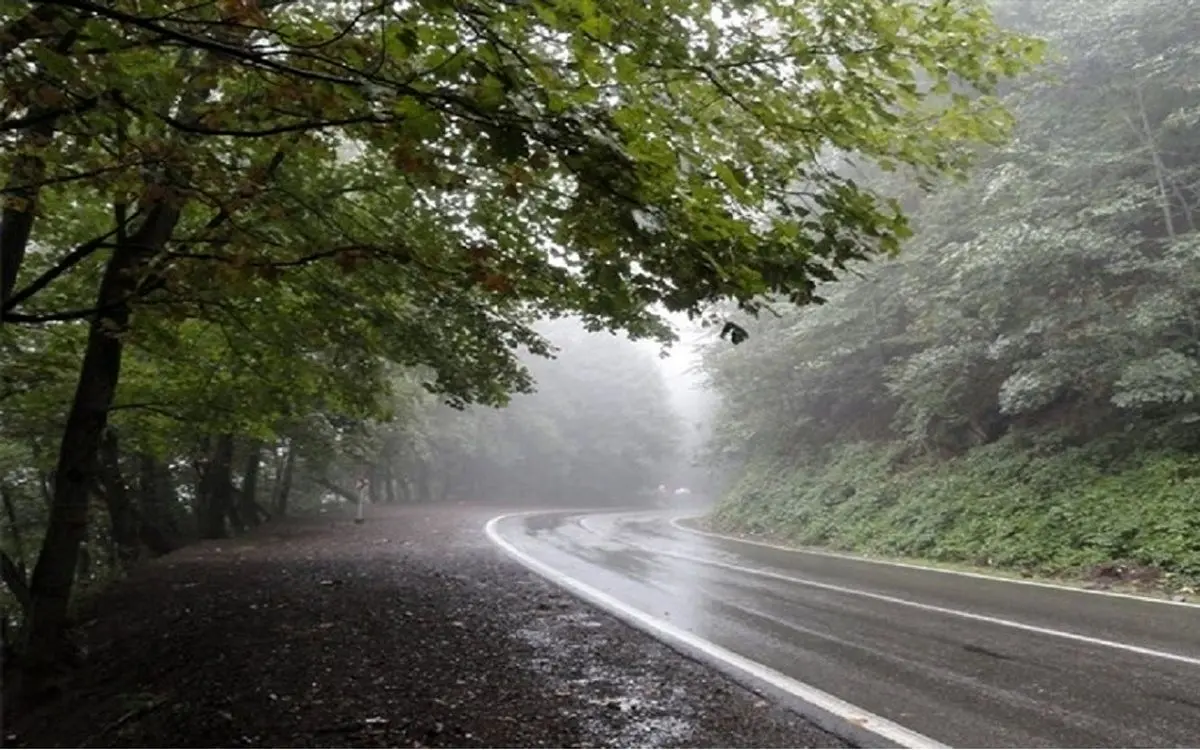(ویدئو) لحظه زیبای بارش باران در جاده کوهستانی چالوس