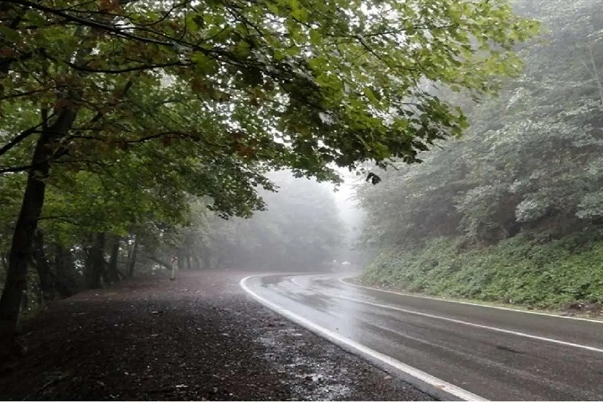 (ویدئو) لحظه زیبای بارش باران در جاده کوهستانی چالوس