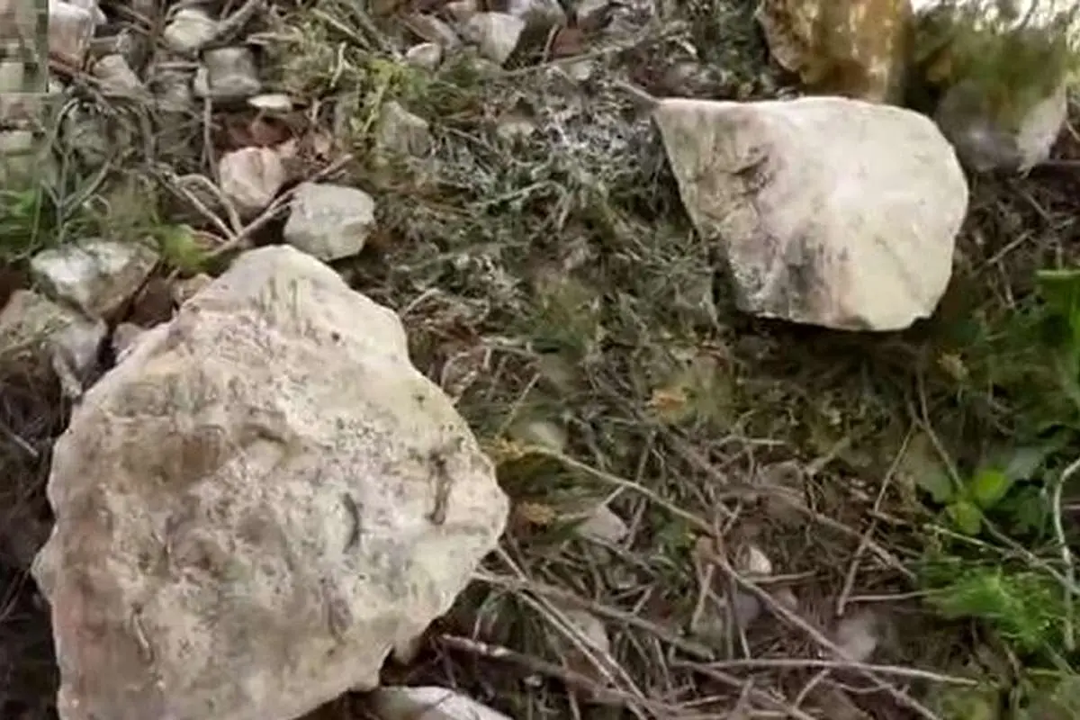 (ویدئو) کشف دستگاه جاسوسی که داخل سنگ جاساز شده بود