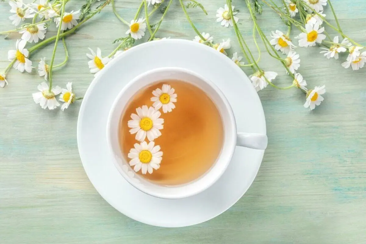 خواص بابونه برای معده/گیاهی که نفخ شکم را از بین می‌برد
