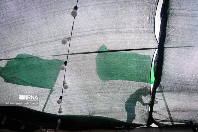 عکس جمکران و گل نرگس