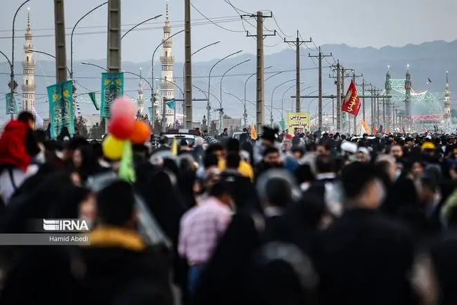 عکس جمکران و گل نرگس