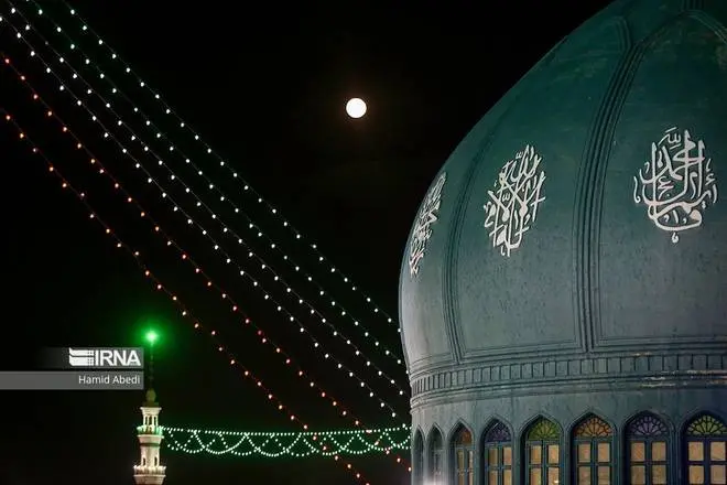 عکس جمکران و گل نرگس