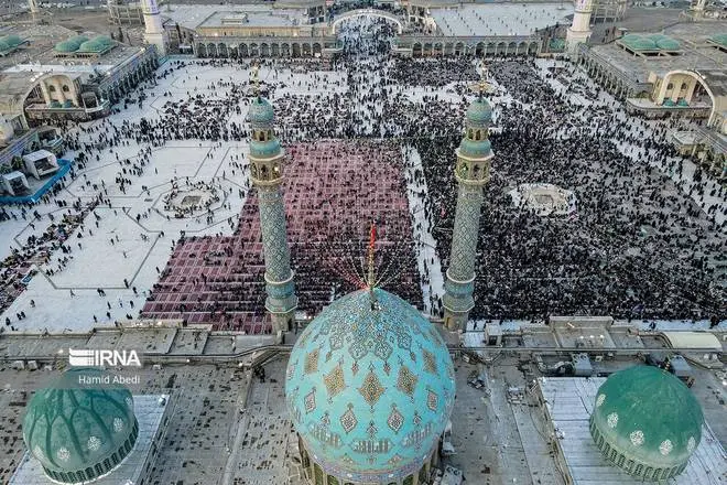 عکس جمکران و گل نرگس