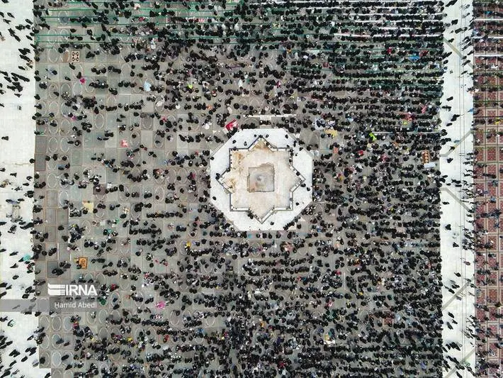 عکس جمکران و گل نرگس