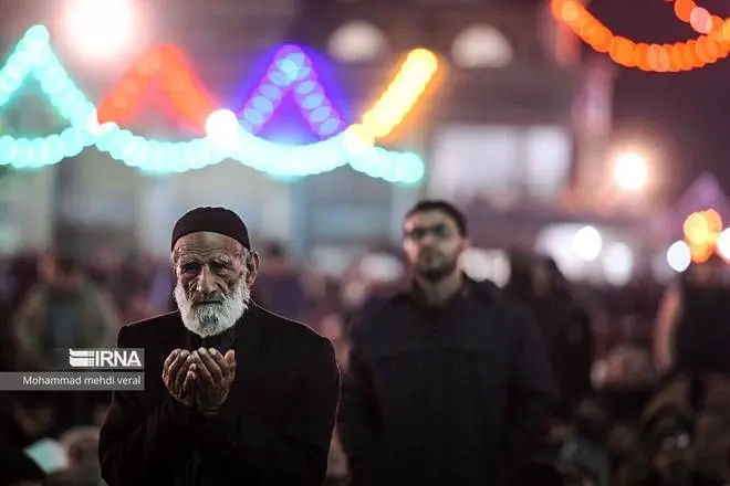 عکس جمکران و گل نرگس