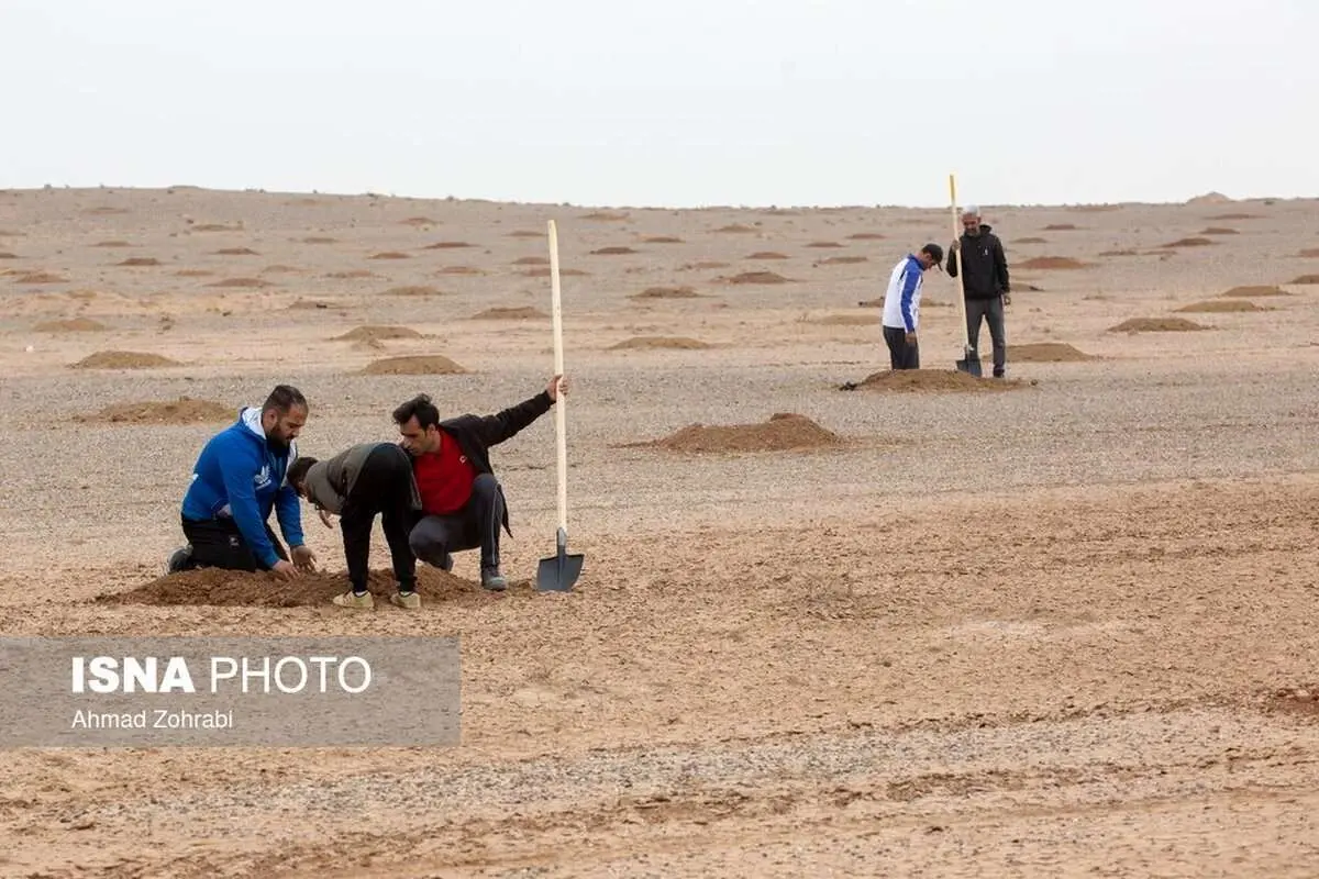 (تصاویر) کاشت نهال برای بیابان زدایی در قم